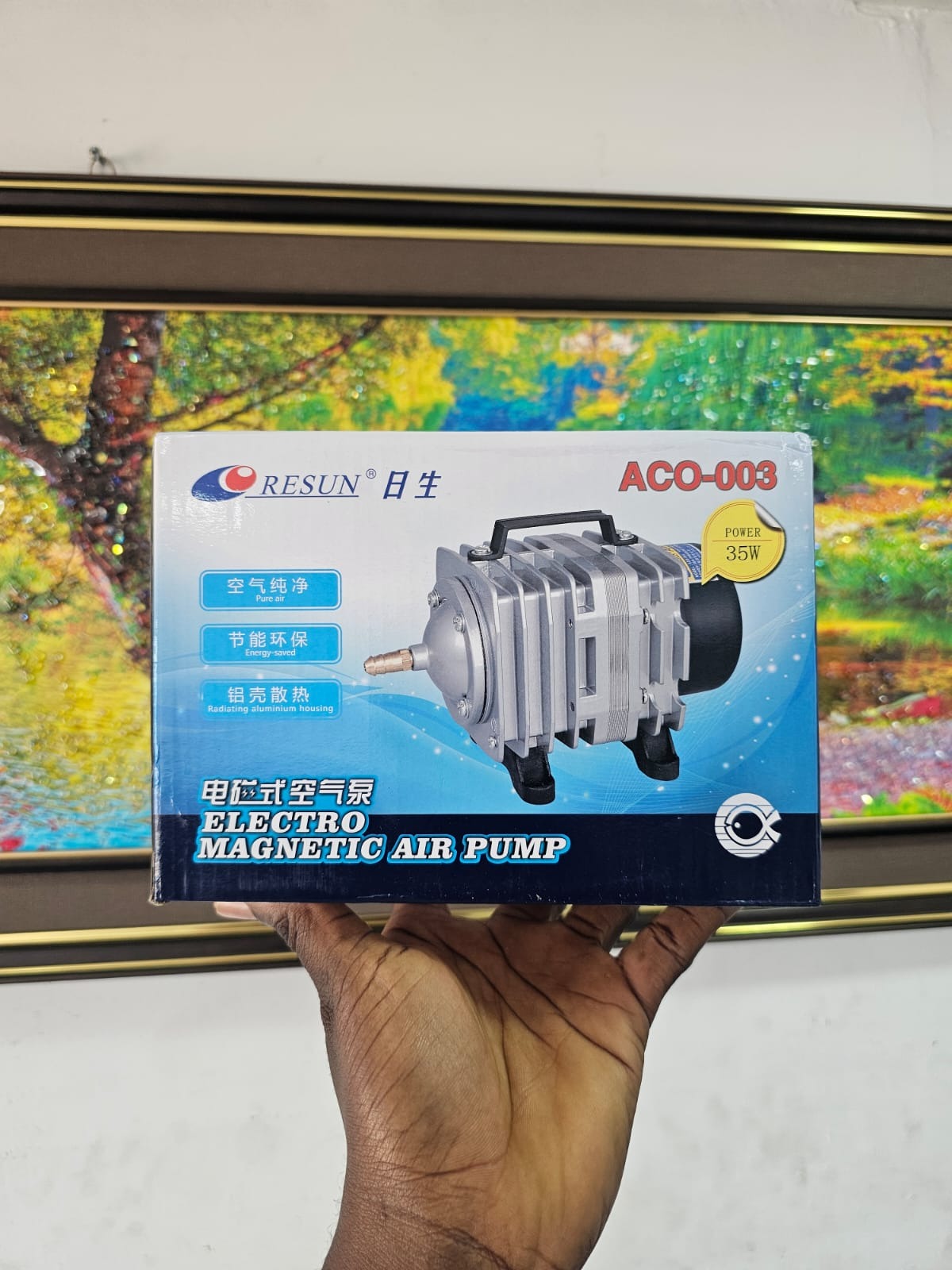 6 Outlet Pump